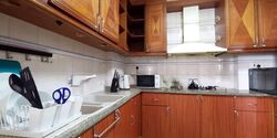 Dover Parkview (D5), Condominium #594754611